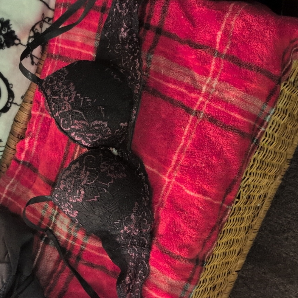 Jessica  Simpsons Hush push up bra